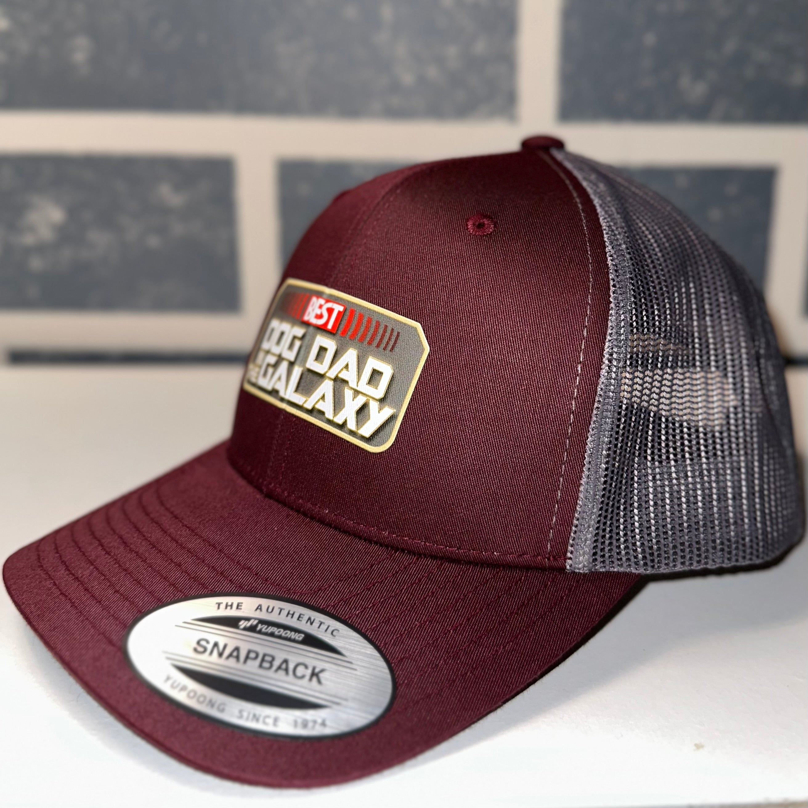 Best Dog Dad in the Galaxy Trucker Hat