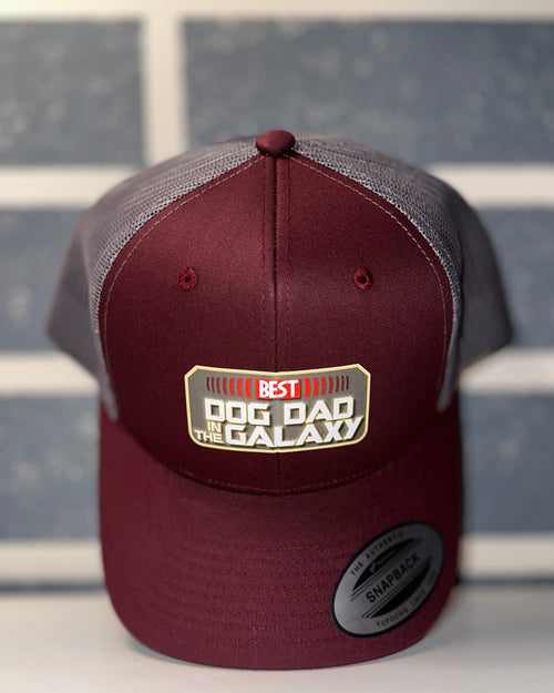 Best Dog Dad in the Galaxy Trucker Hat
