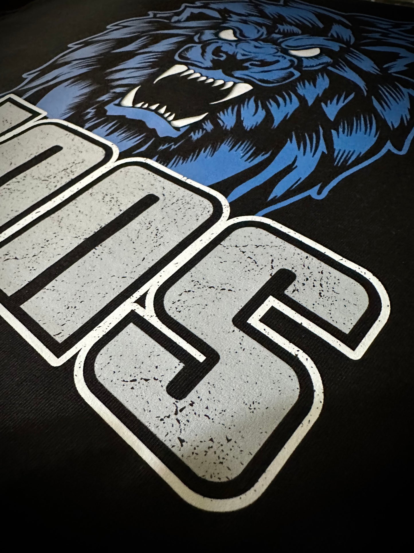 another close up view of the lions lettering